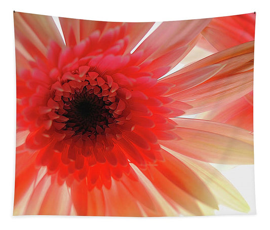 Pink Daisy On Light - Tapestry