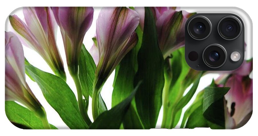 Pink Flowers Green Stems - Phone Case