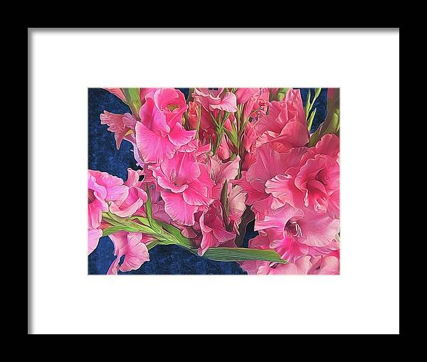 Pink Gladiolas - Framed Print