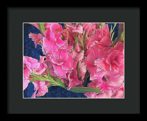 Pink Gladiolas - Framed Print