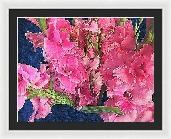 Pink Gladiolas - Framed Print