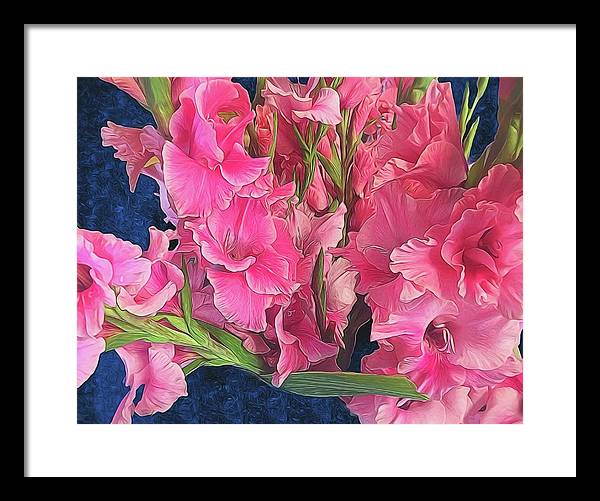 Pink Gladiolas - Framed Print