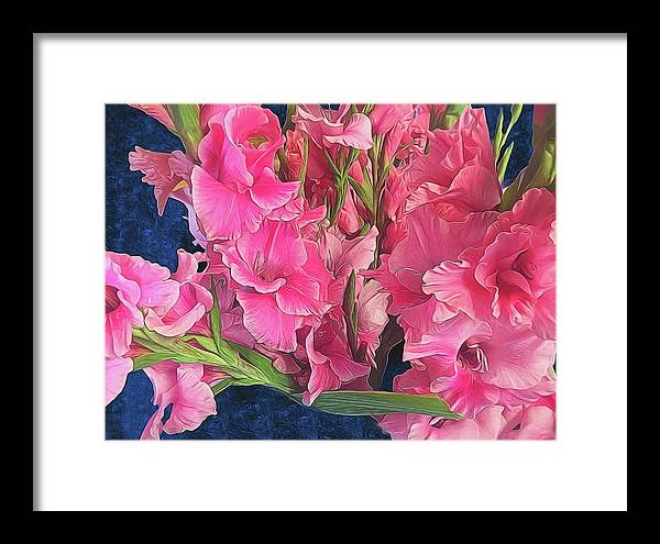 Pink Gladiolas - Framed Print