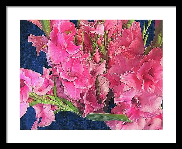 Pink Gladiolas - Framed Print