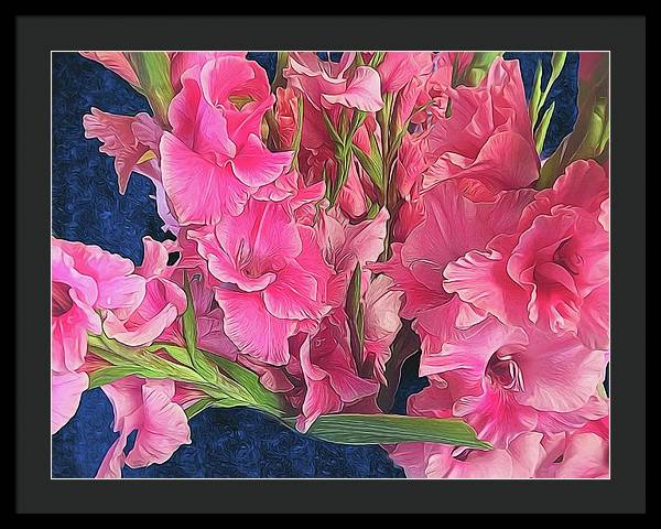 Pink Gladiolas - Framed Print