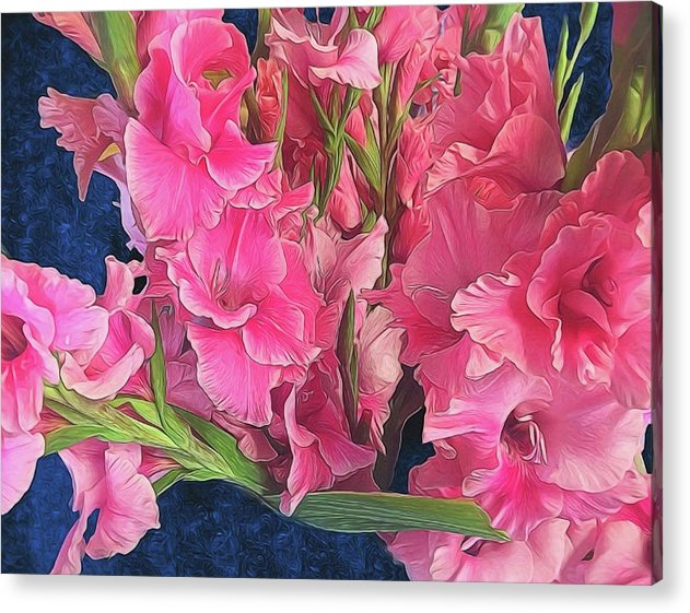 Pink Gladiolas - Acrylic Print