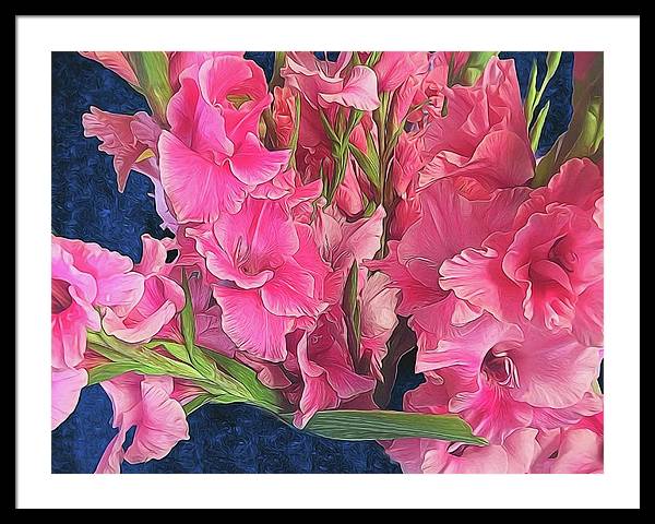 Pink Gladiolas - Framed Print