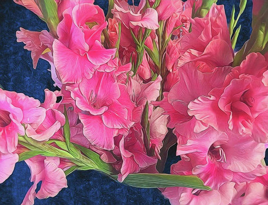 Pink Gladiolas - Art Print