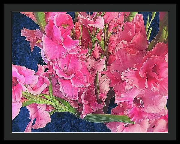 Pink Gladiolas - Framed Print