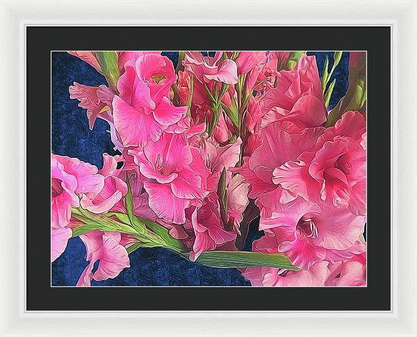 Pink Gladiolas - Framed Print