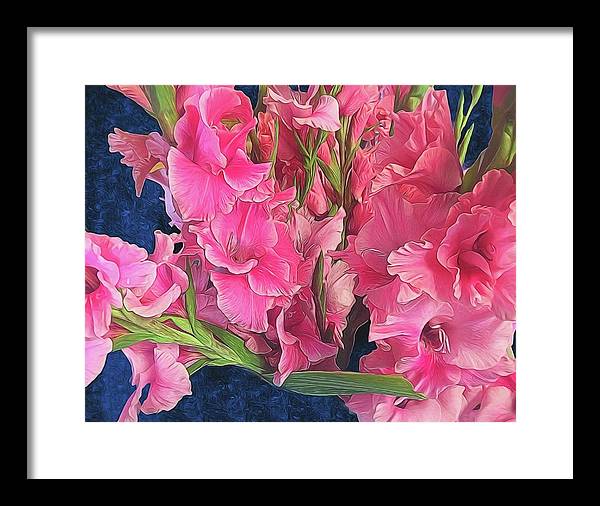 Pink Gladiolas - Framed Print