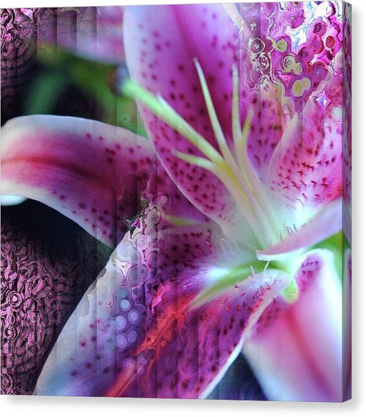 Pink Lily Abstract - Canvas Print