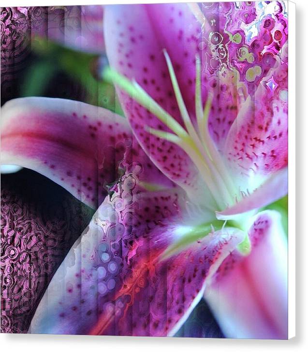 Pink Lily Abstract - Canvas Print