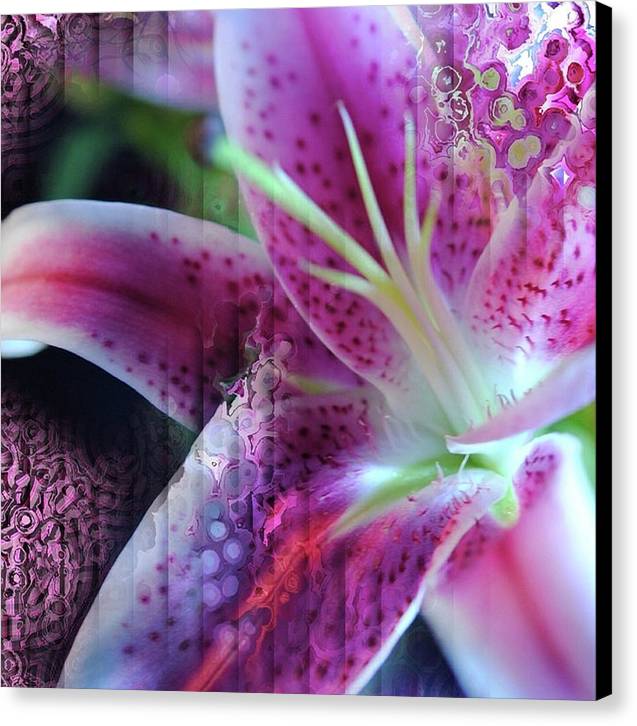 Pink Lily Abstract - Canvas Print