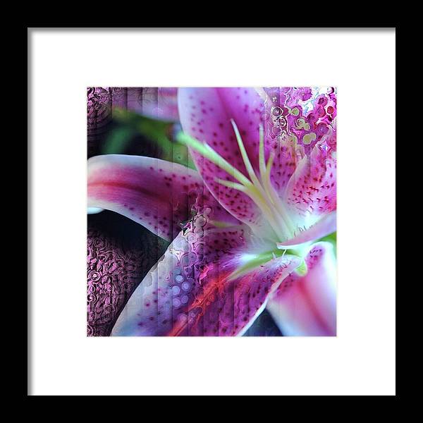 Pink Lily Abstract - Framed Print