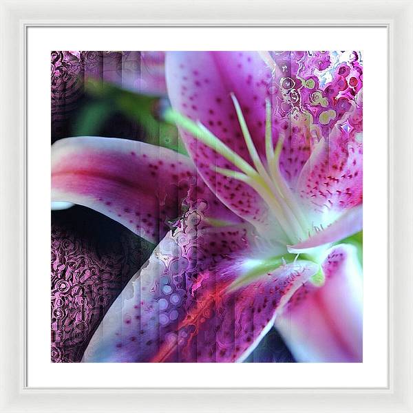 Pink Lily Abstract - Framed Print