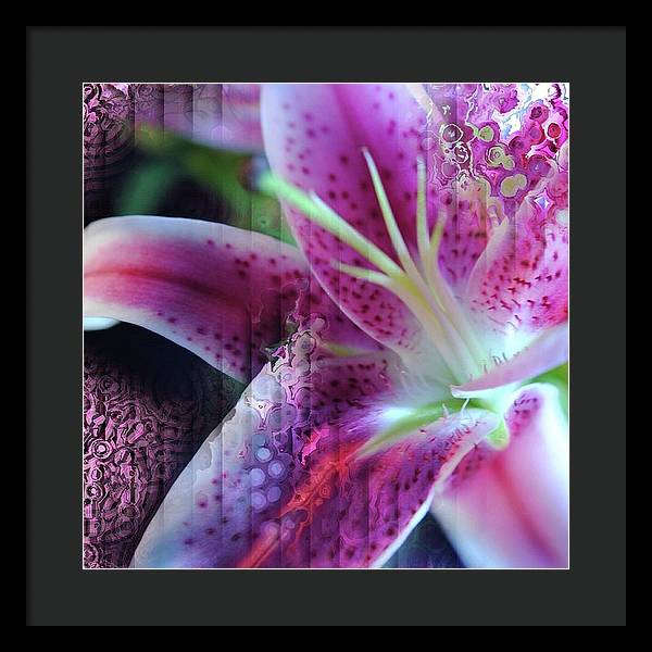 Pink Lily Abstract - Framed Print