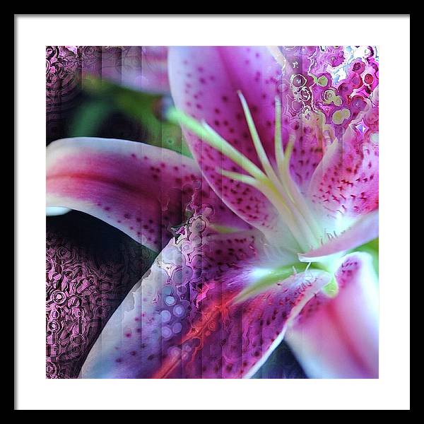 Pink Lily Abstract - Framed Print