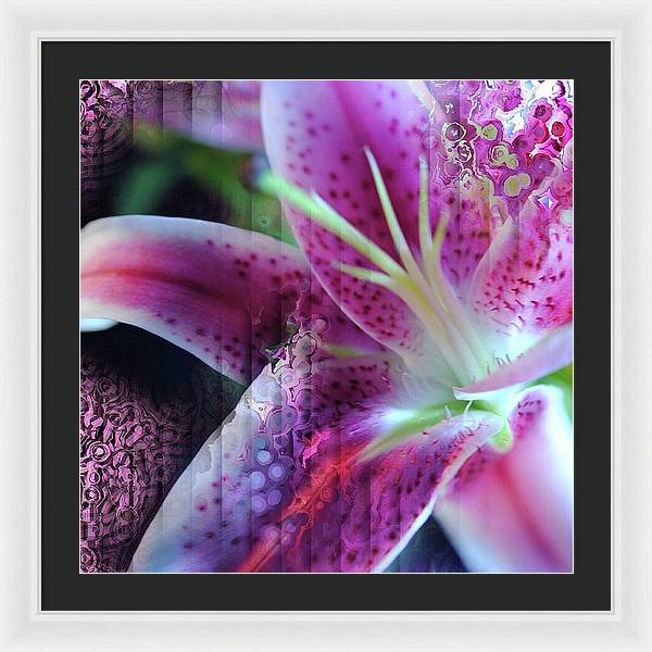 Pink Lily Abstract - Framed Print