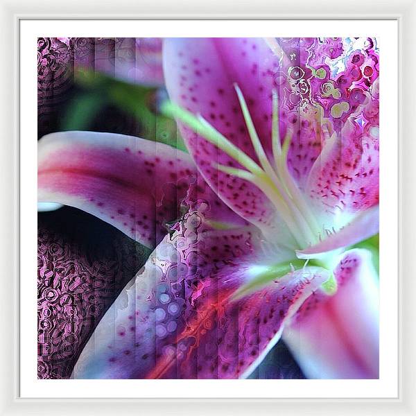 Pink Lily Abstract - Framed Print