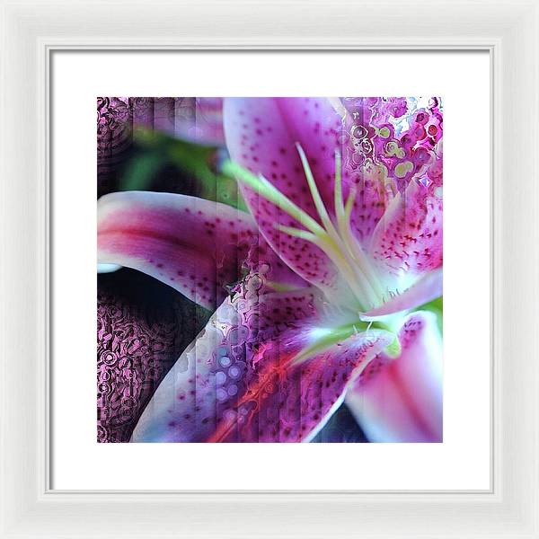 Pink Lily Abstract - Framed Print