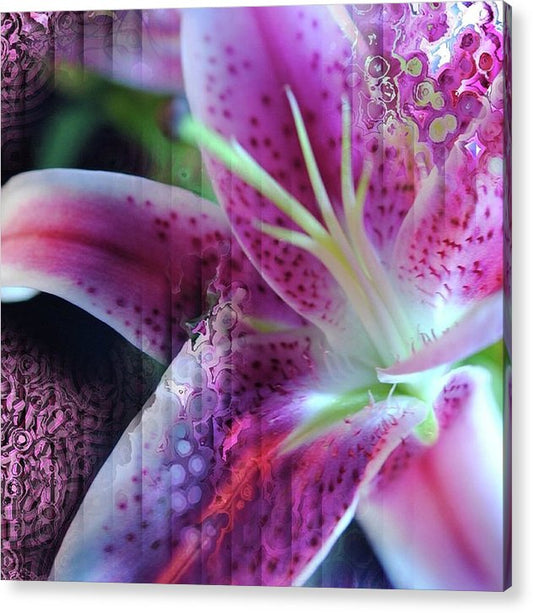 Pink Lily Abstract - Acrylic Print