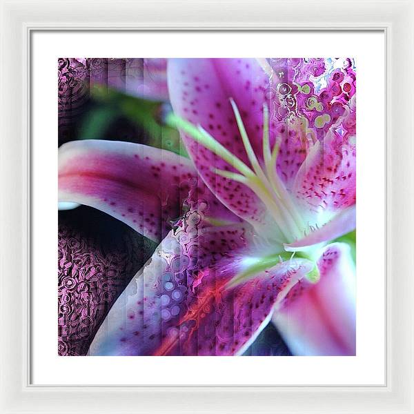 Pink Lily Abstract - Framed Print