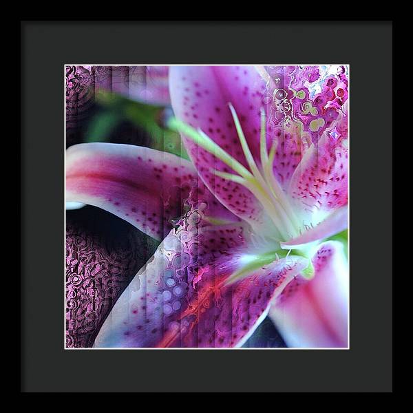 Pink Lily Abstract - Framed Print