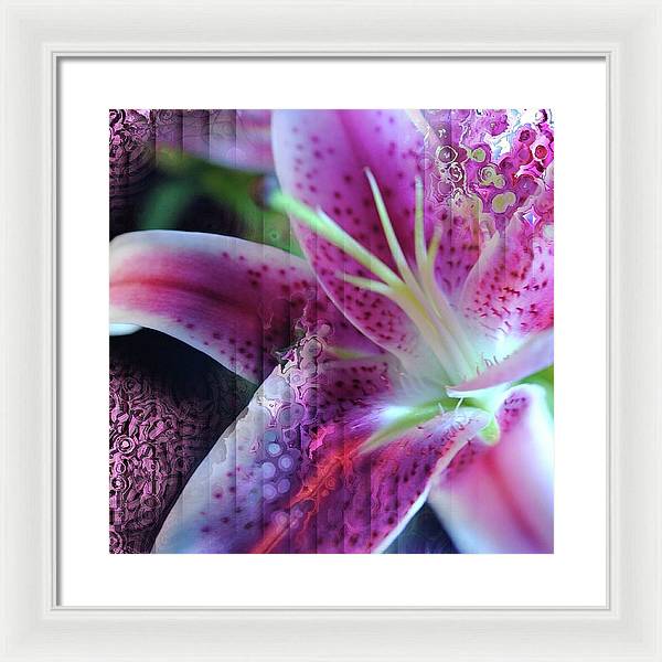 Pink Lily Abstract - Framed Print