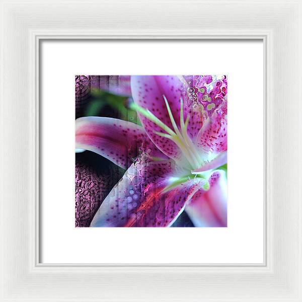 Pink Lily Abstract - Framed Print