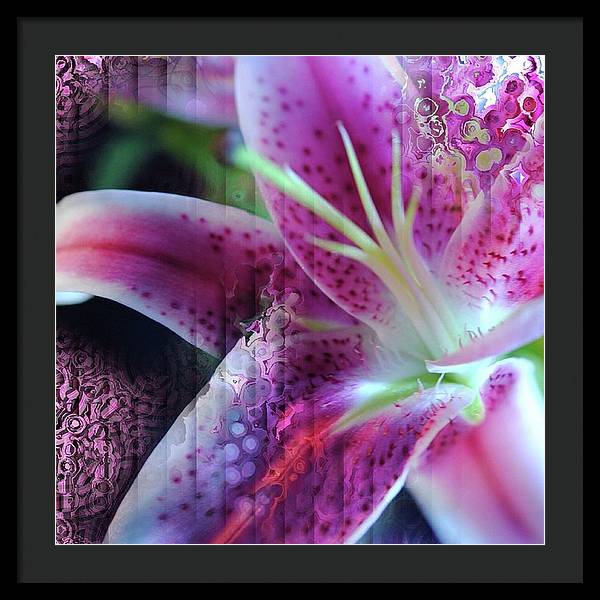 Pink Lily Abstract - Framed Print