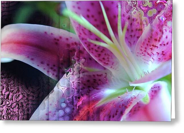 Pink Lily Abstract - Greeting Card