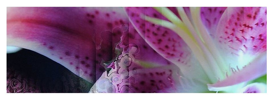 Pink Lily Abstract - Yoga Mat