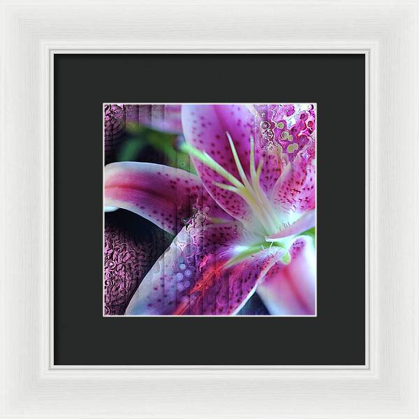 Pink Lily Abstract - Framed Print