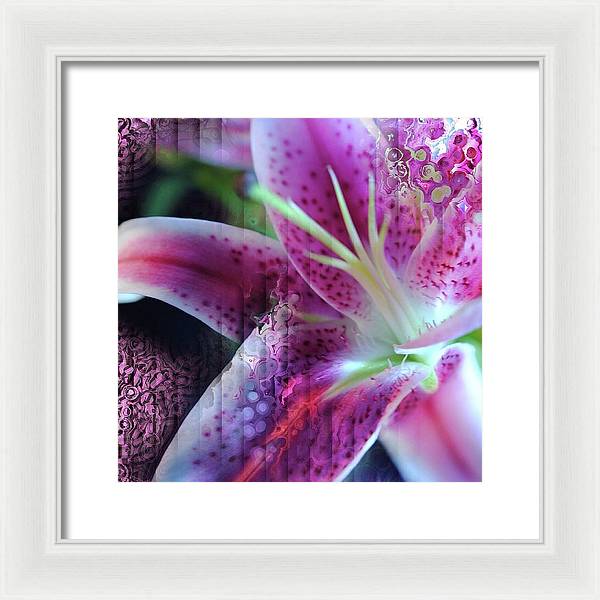 Pink Lily Abstract - Framed Print