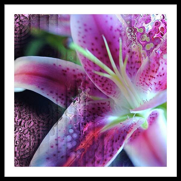 Pink Lily Abstract - Framed Print