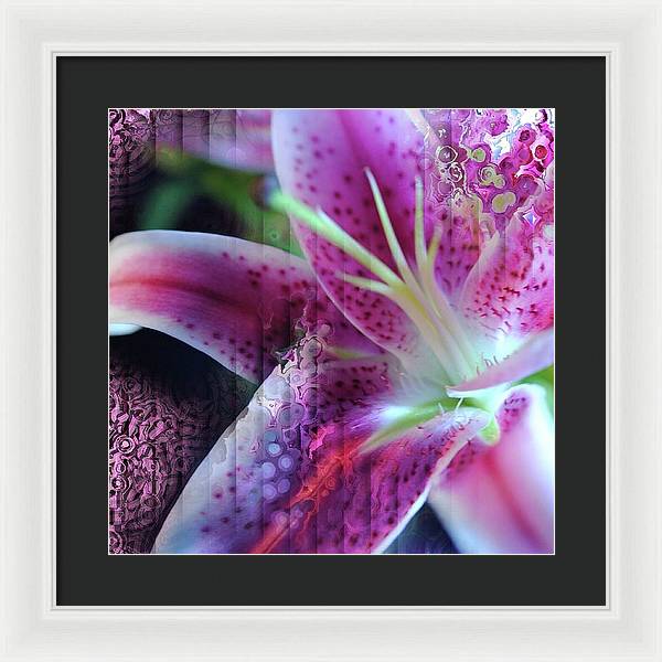 Pink Lily Abstract - Framed Print