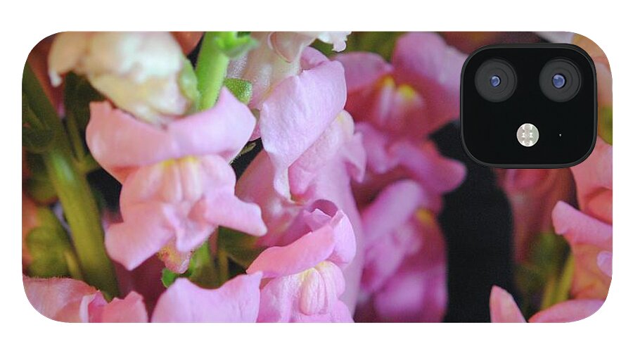 Pink Snapdragons - Phone Case