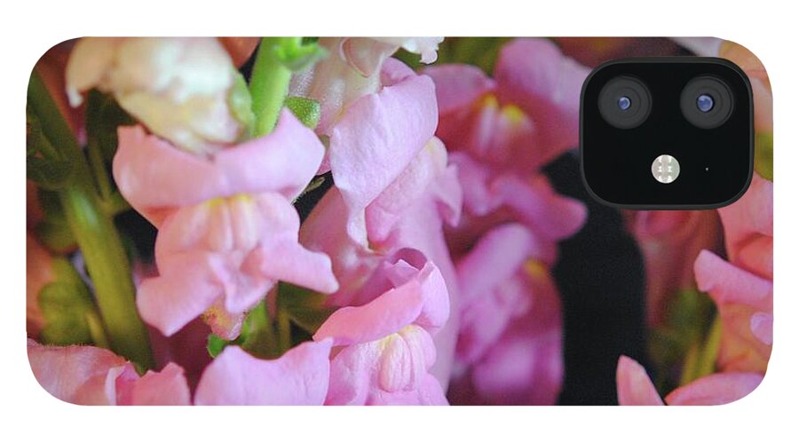 Pink Snapdragons - Phone Case