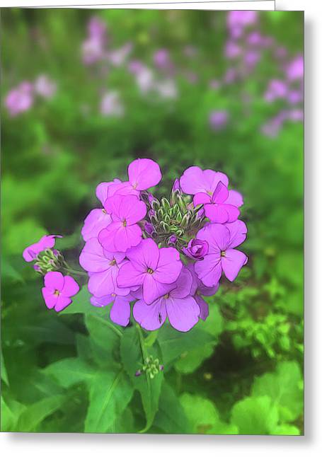 Pink Wildflowers - Greeting Card