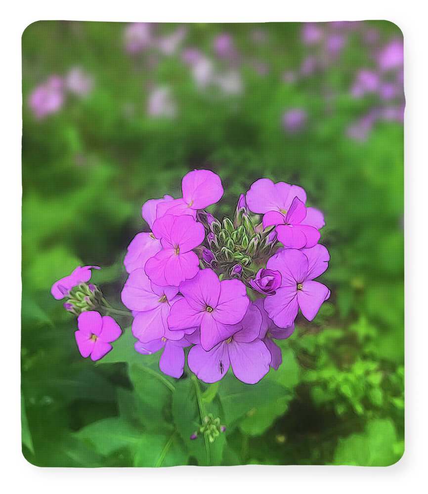 Pink Wildflowers - Blanket