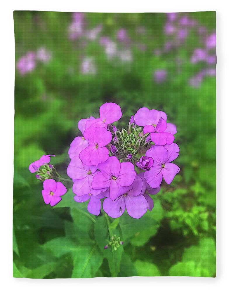 Pink Wildflowers - Blanket