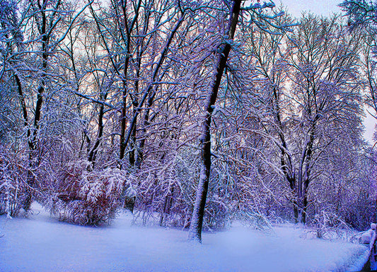 Pink and Blue Snow at Dawn Digital Image Download