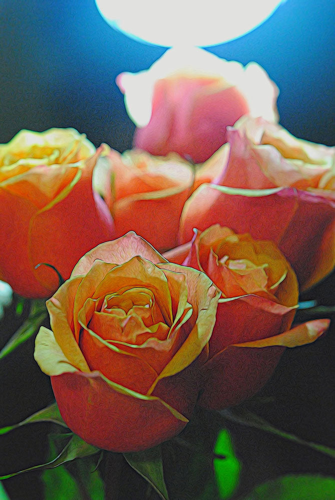 Pink and Orange Rose Bouquet In The Light Digital Image Download