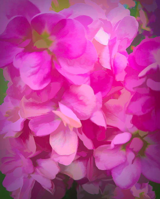 Pink Flower Background Digital Image Download
