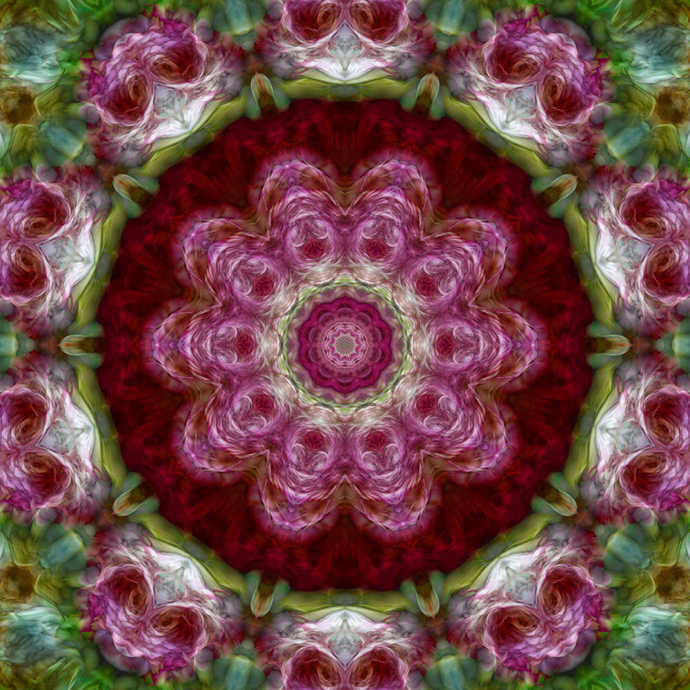 Pink Flower Kaleidoscope Digital Image Download