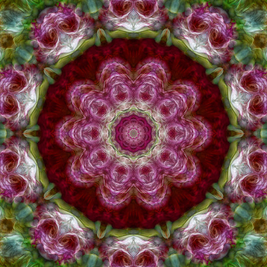 Pink Flower Kaleidoscope Digital Image Download