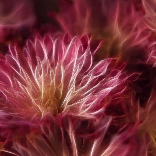 Pink Flower Lightning Digital Image Download