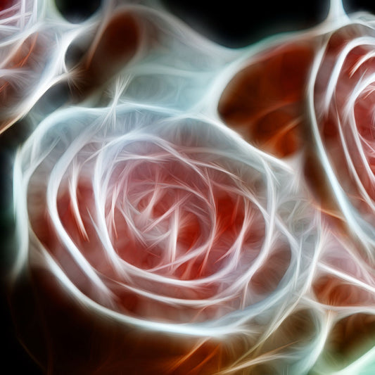 Pink Glowing Roses Digital Image Download