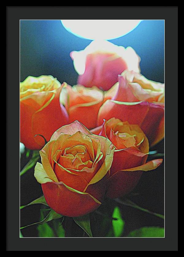 Pinki and Orange Rose Bouquet With Light - Framed Print